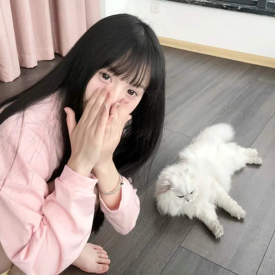 猫和老鼠：间谍使命